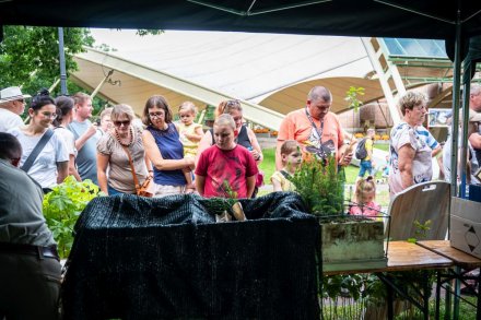 24. Piknik Leśny